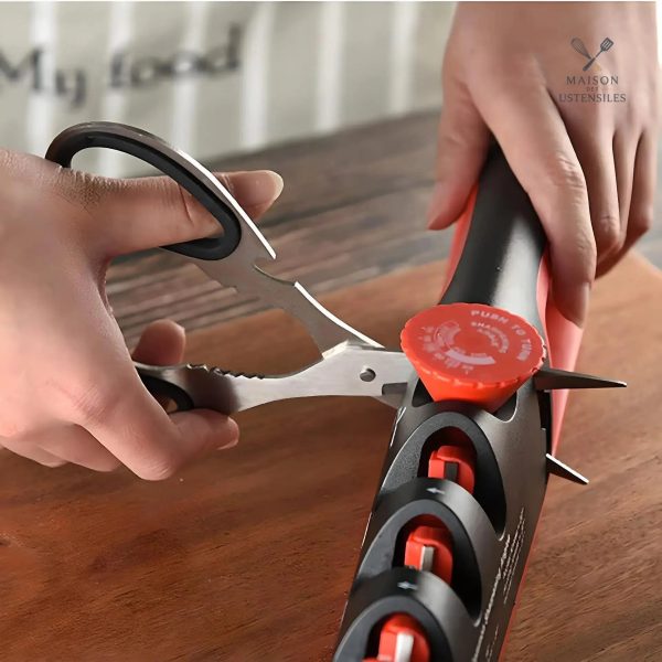 SharpPro : Aiguiseur pour une coupe précise