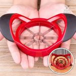 Coupe pomme en acier inoxydable pour amateurs de fruits