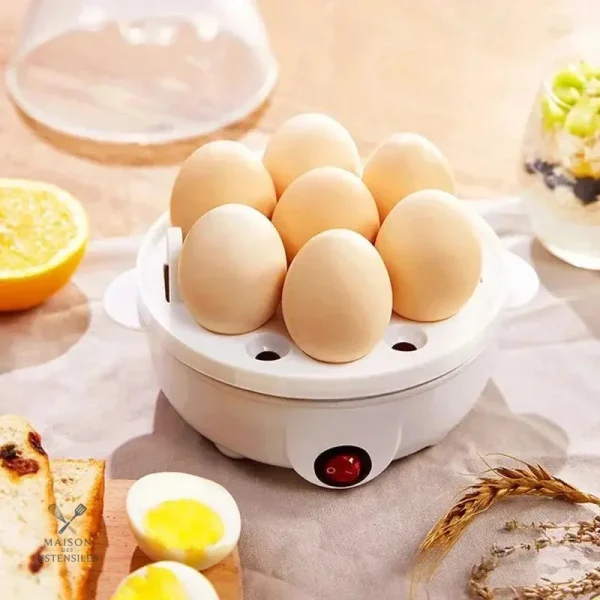 Cuiseur vapeur compact pour légumes et poisson