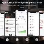 Accessoire de cuisine : thermomètre Bluetooth