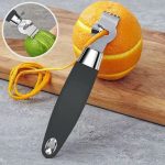 Zesteur professionnel en inox